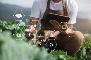 Agricultura digitală și IoT
