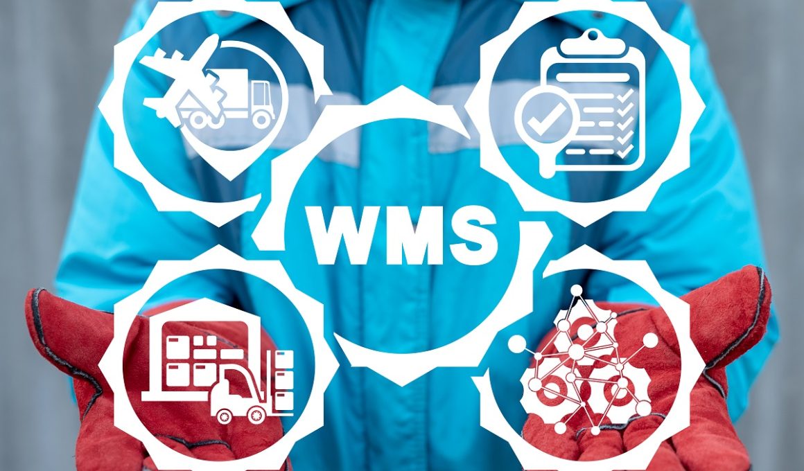 Cum optimizează WMS transportul și depozitarea pentru afaceri?