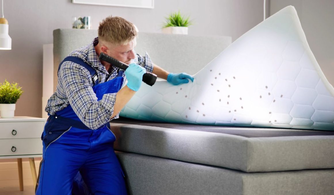 solutie pentru plosnite