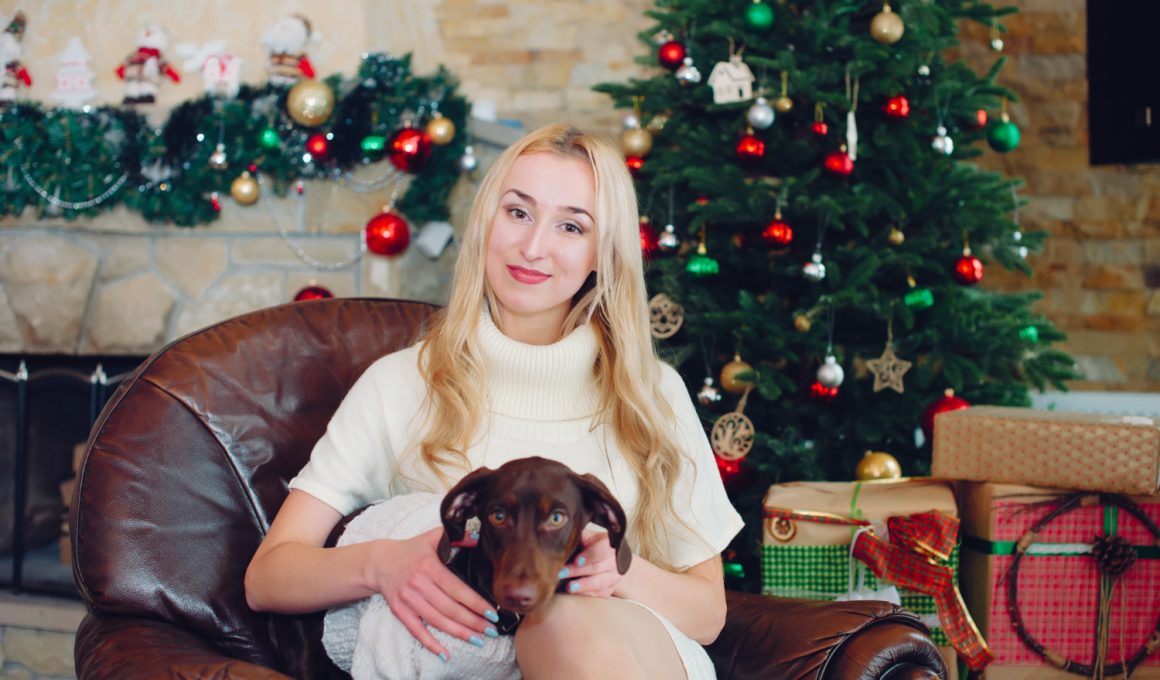 Ce brad artificial de Crăciun aleg dacă am animale de companie?