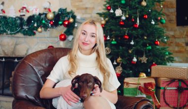 Ce brad artificial de Crăciun aleg dacă am animale de companie?