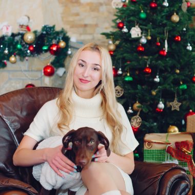 Ce brad artificial de Crăciun aleg dacă am animale de companie?